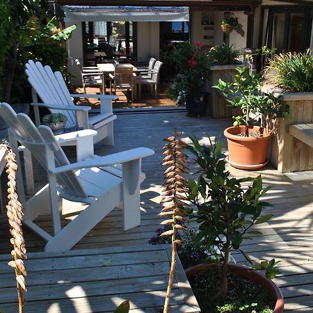 Terry And Cindy'S Bed And Breakfast Auckland Extérieur photo